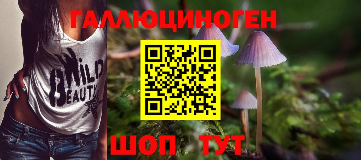 Галлюциногенные грибы прущие грибы Удомля